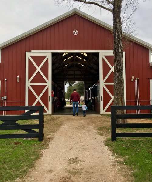 father-and-son-walking-through-horse-barn-2024-11-02-01-15-04-utc